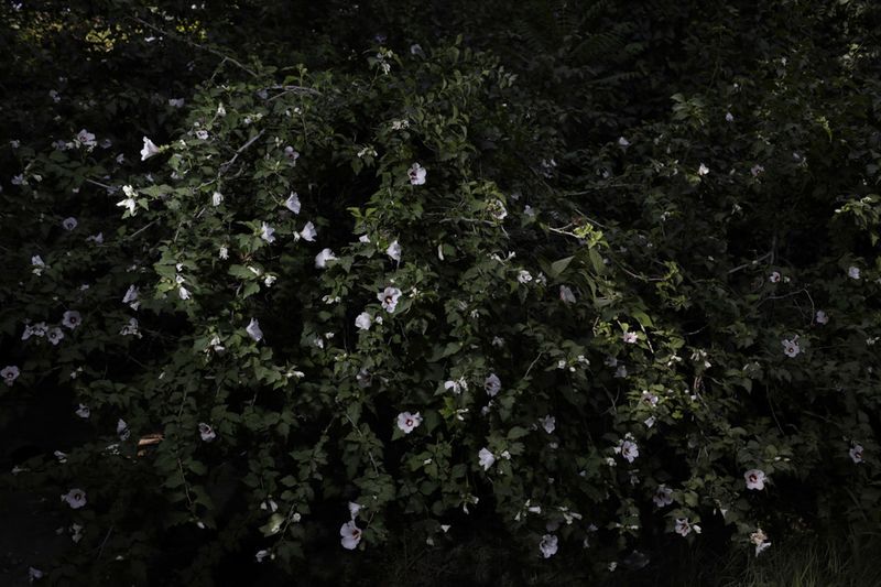 © Eleonora Strano - Image from the A turkmen story photography project