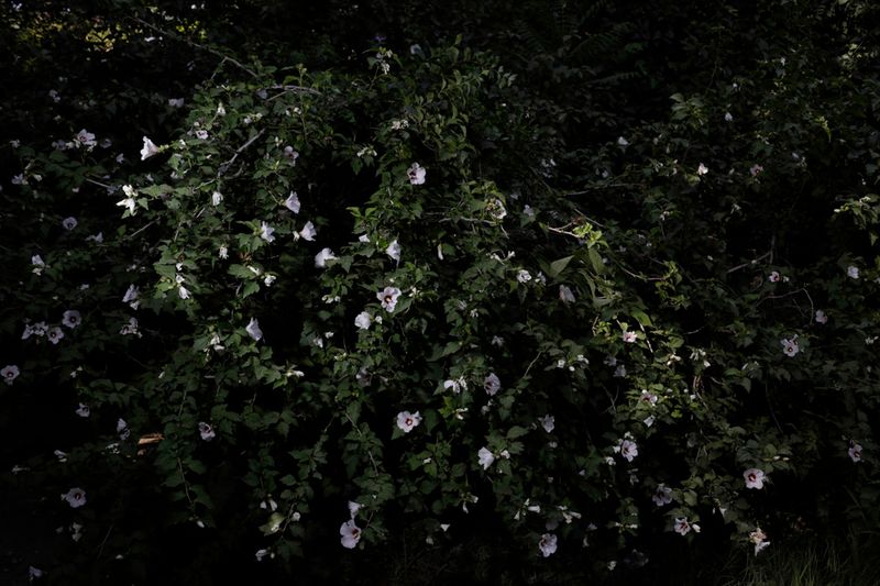 © Eleonora Strano - Image from the A turkmen story photography project