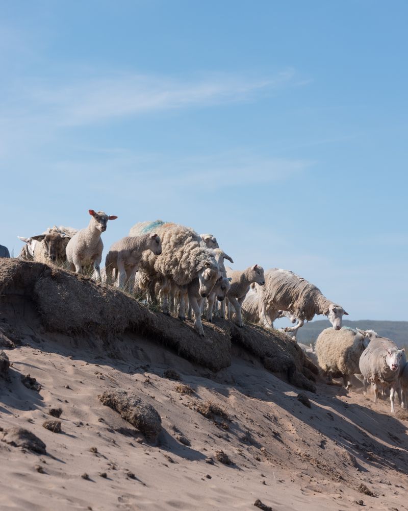 © Eleonora Strano - Image from the Solastalgia photography project