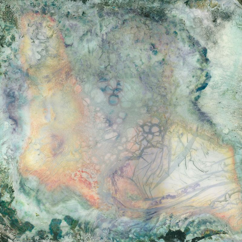 © Eleonora Strano - Immersed polaroid