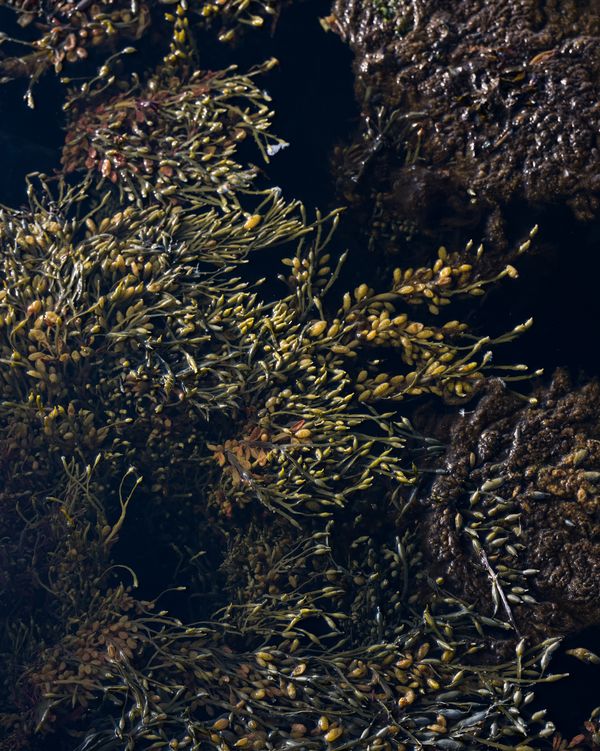 © Eleonora Strano - Image from the Solastalgia photography project