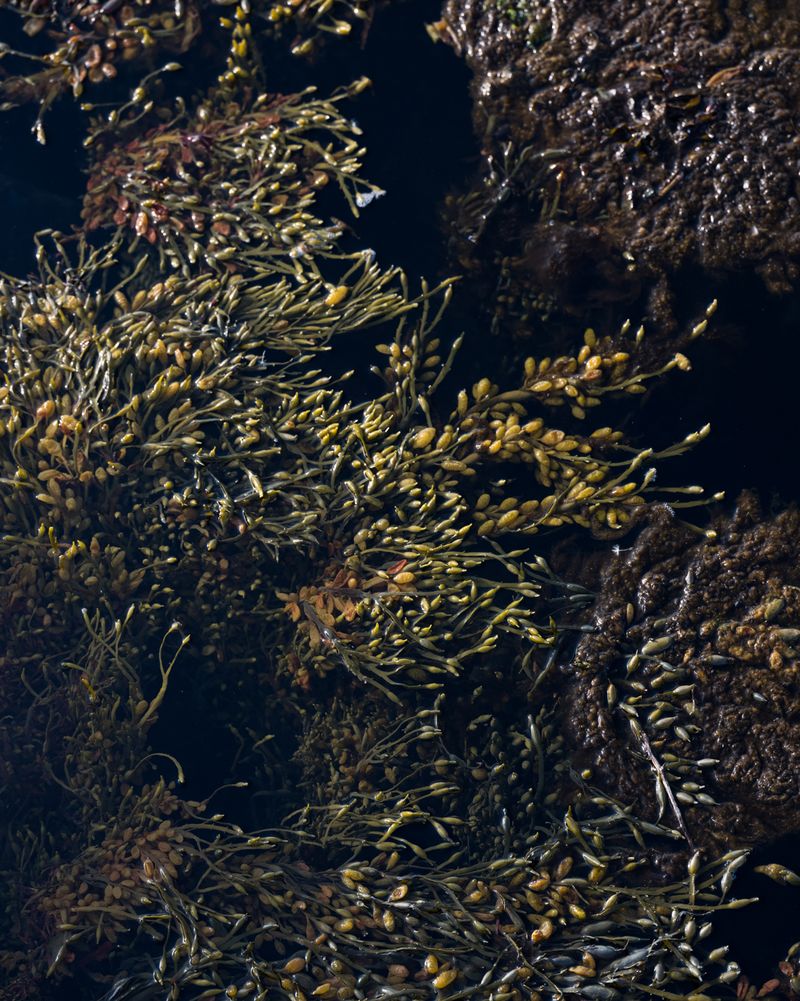 © Eleonora Strano - Image from the Solastalgia photography project