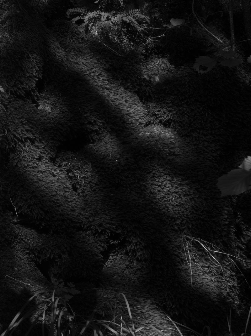 © Eleonora Strano - Image from the The Dark Embrace photography project