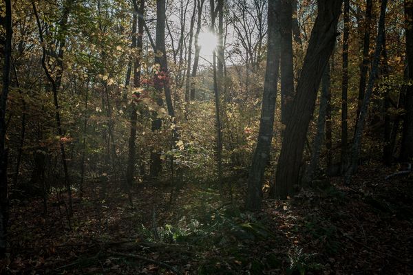 © Wil Sands - Image from the Dissonant Identities  photography project