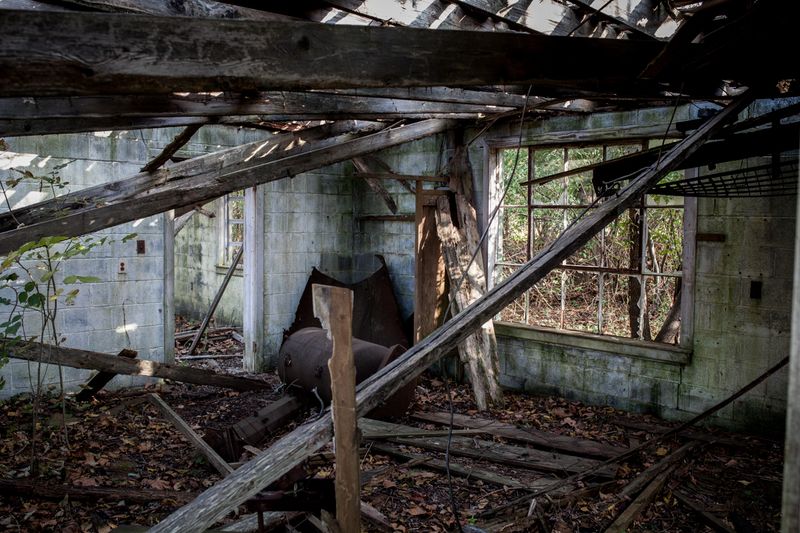 © Wil Sands - Image from the Dissonant Identities  photography project