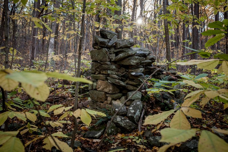 © Wil Sands - Image from the Dissonant Identities  photography project