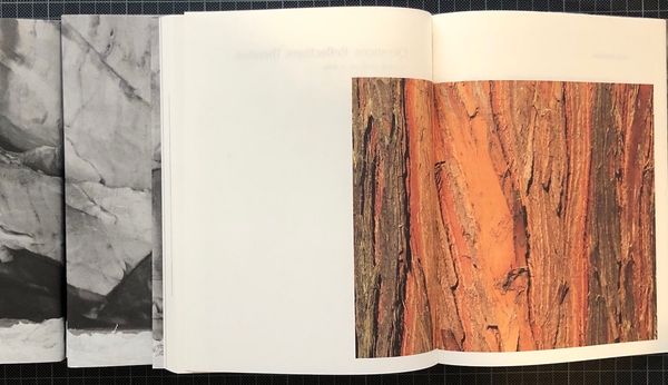 Image from a project on PhMuseum