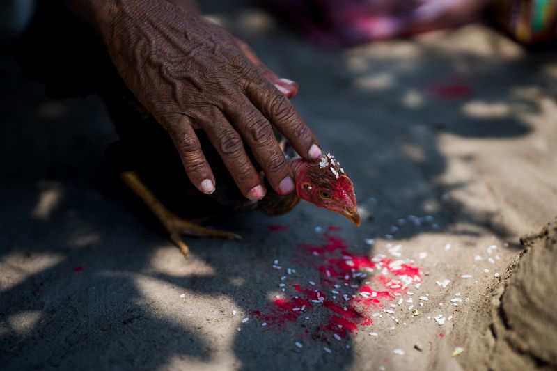 © Shashwat Das - Image from the Jungle Mahal photography project