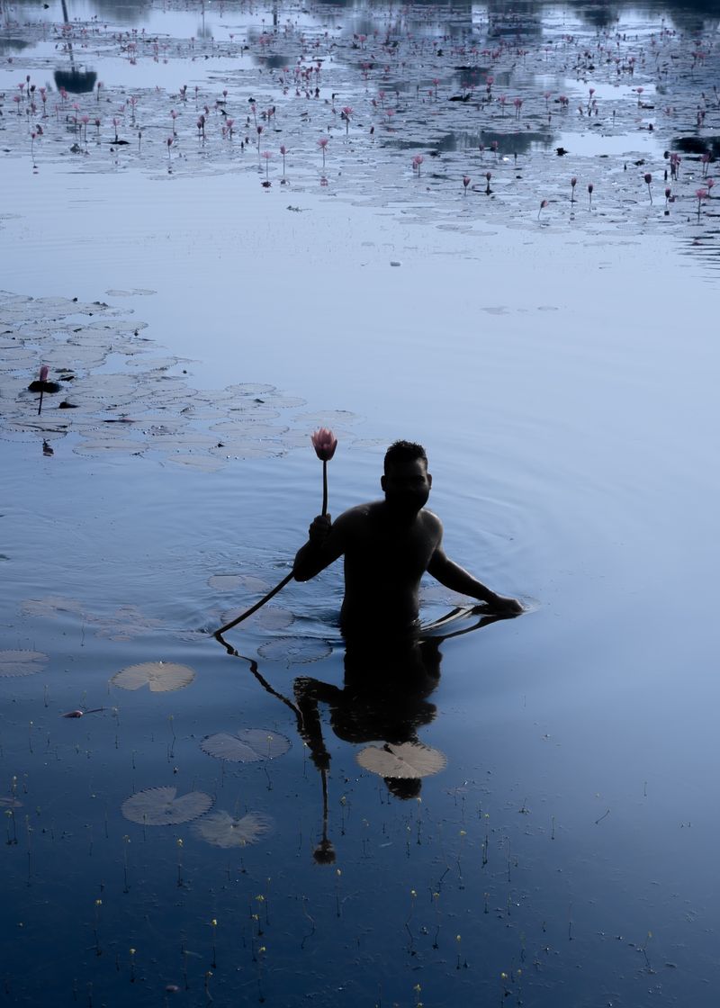 © Shashwat Das - Image from the Jungle Mahal photography project