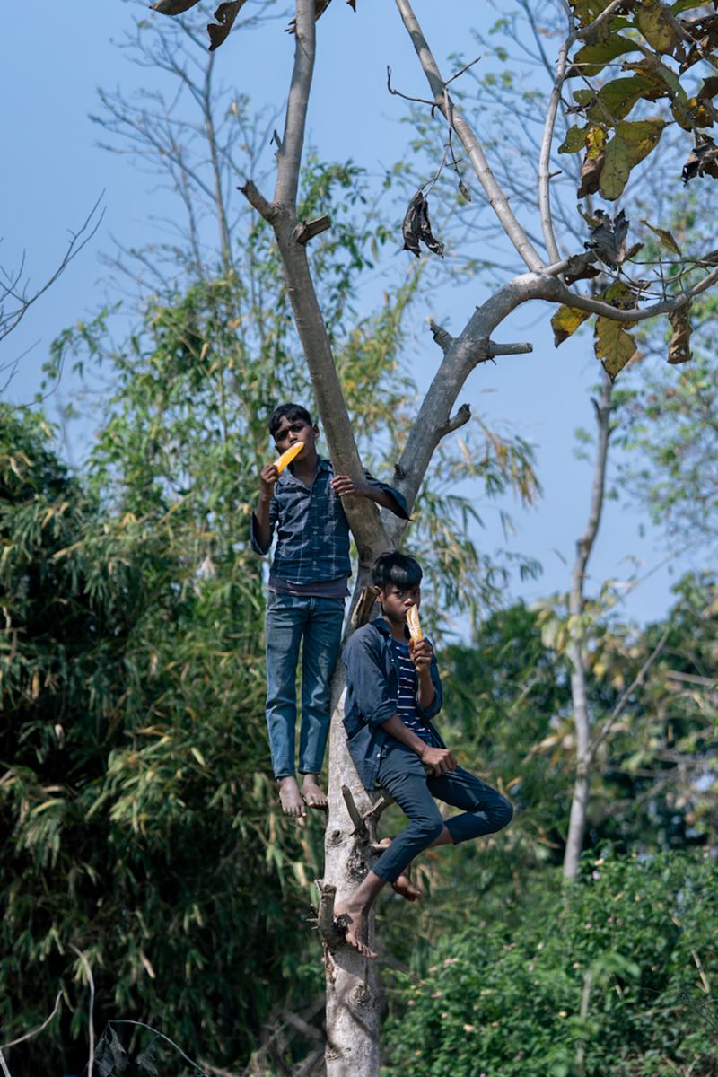 © Shashwat Das - Image from the Jungle Mahal photography project