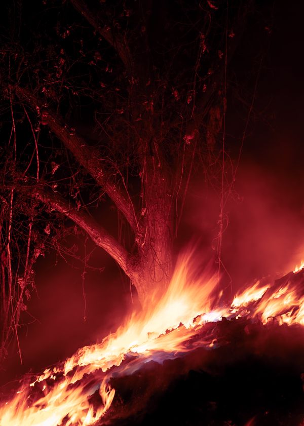 © Shashwat Das - Image from the Jungle Mahal photography project