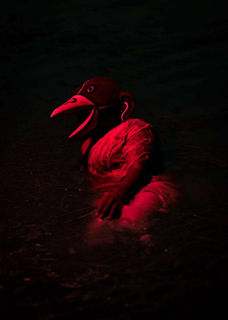 © Shashwat Das - Image from the Jungle Mahal photography project