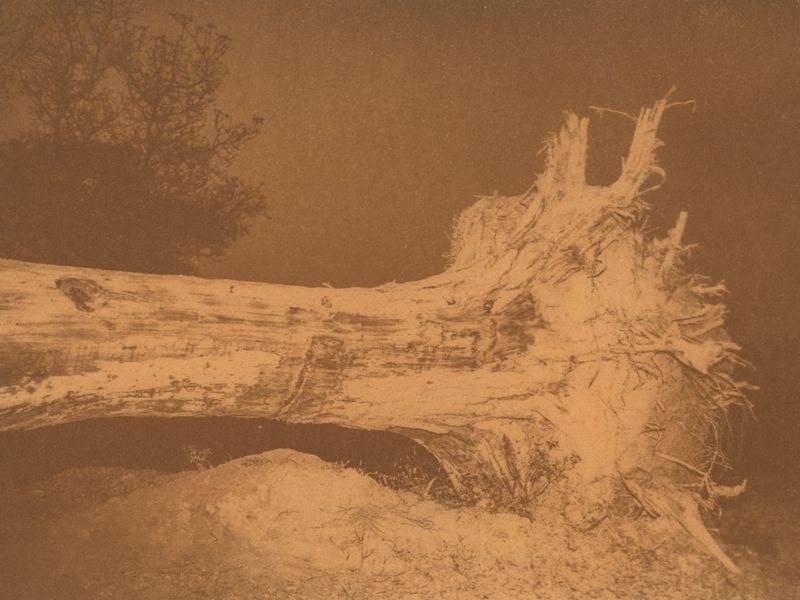 © Shashwat Das - Image from the Jungle Mahal photography project