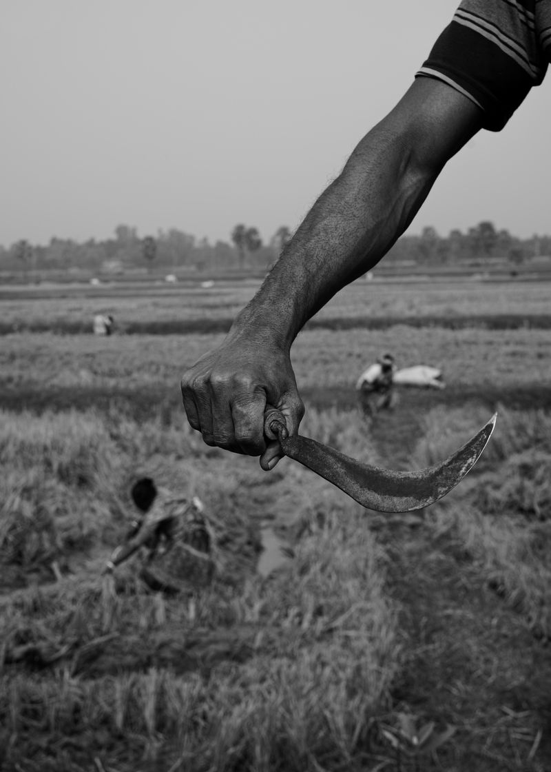 © Shashwat Das - Image from the Jungle Mahal photography project