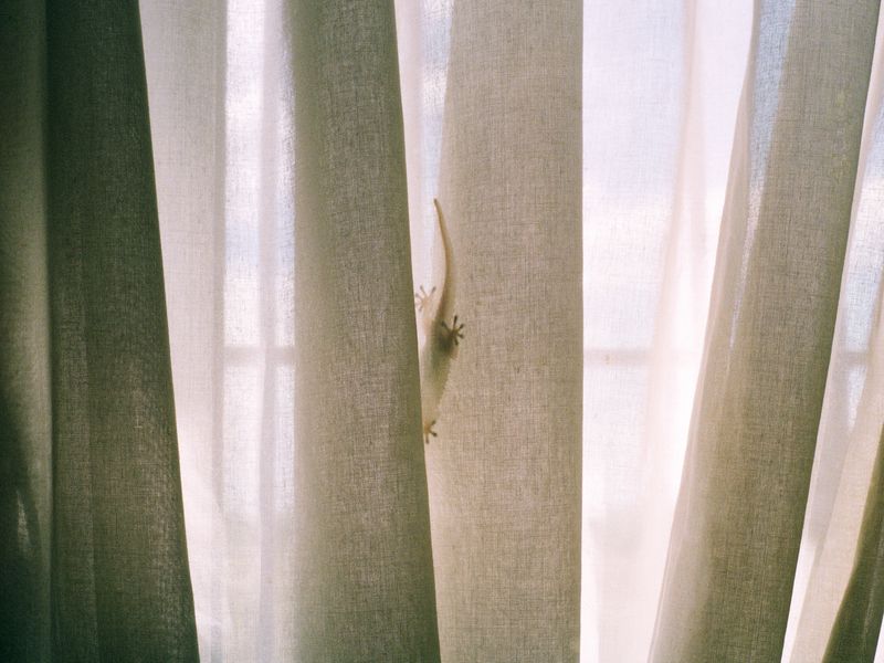© Irmina Walczak - Image from the Oasis: In our quarantine yard. photography project