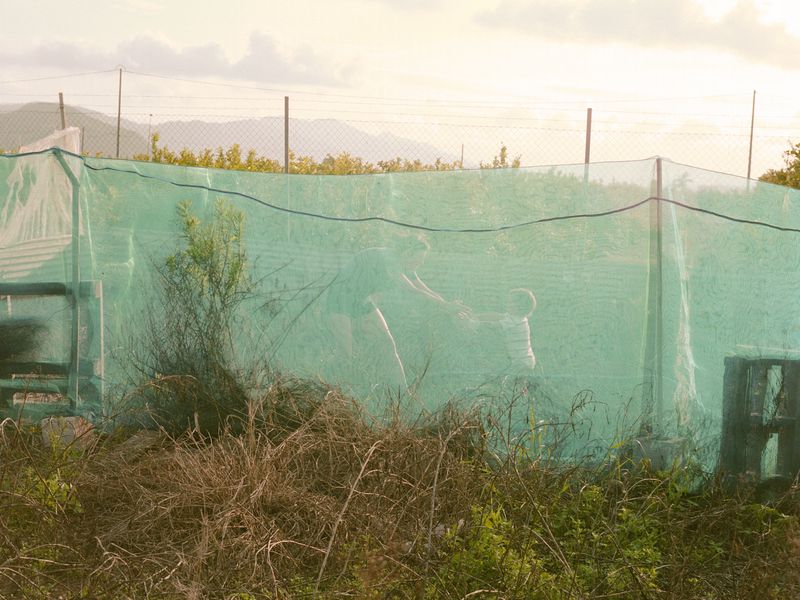 © Irmina Walczak - Image from the Oasis: In our quarantine yard. photography project