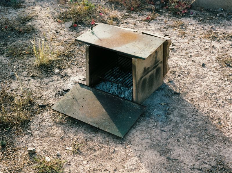 © Irmina Walczak - Image from the Oasis: In our quarantine yard. photography project