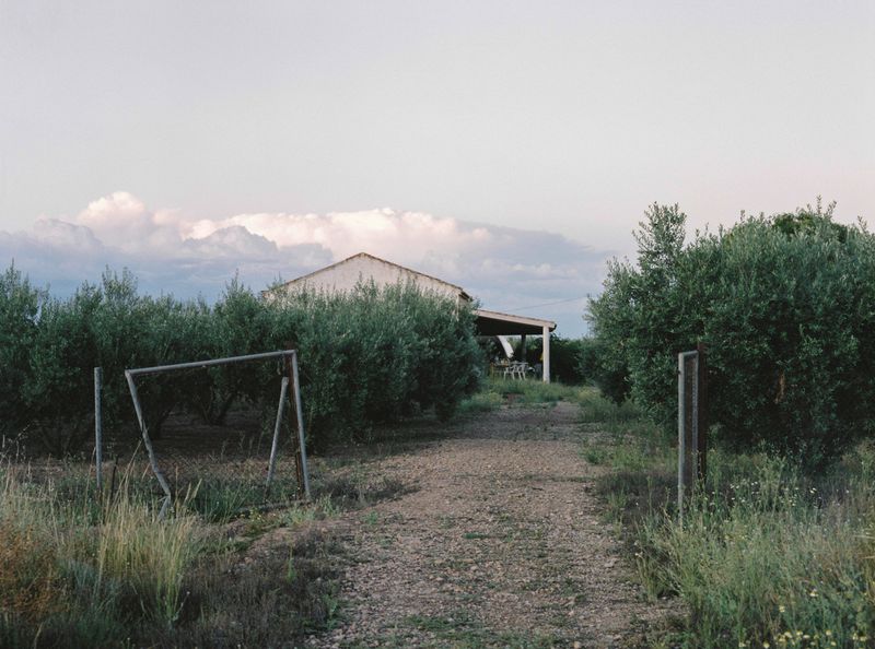 © Irmina Walczak - Image from the Oasis: In our quarantine yard. photography project