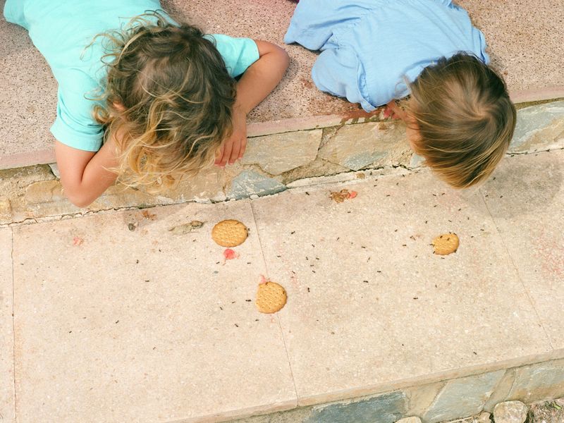 © Irmina Walczak - Image from the Oasis: In our quarantine yard. photography project