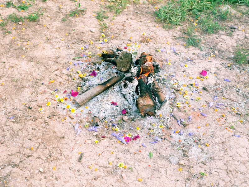 © Irmina Walczak - Image from the Oasis: In our quarantine yard. photography project