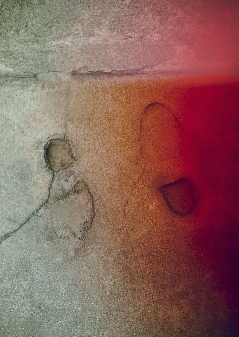 © María Fernanda Pérez - Image from the Elefante en la Habitación (Elephant in the room) photography project