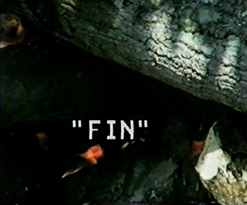 © María Fernanda Pérez - "Fin" - The end.