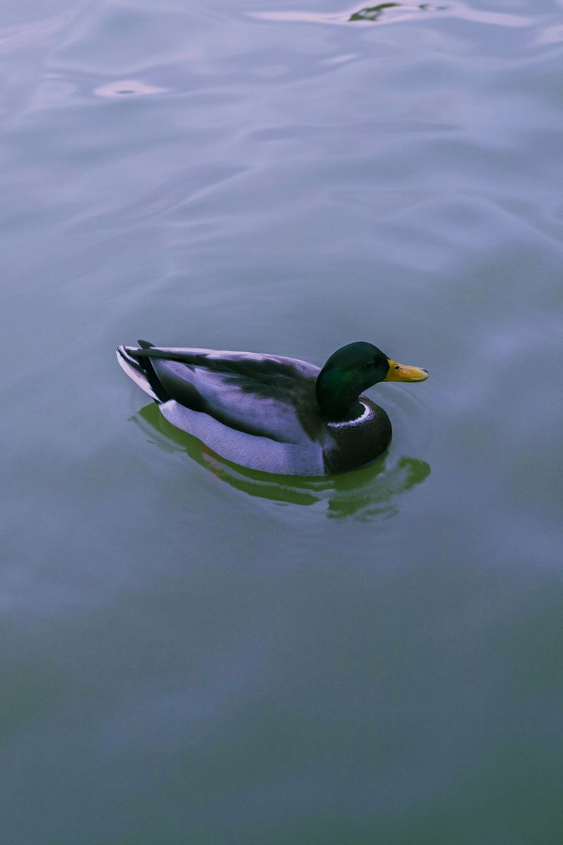 © María Fernanda Pérez - Image from the I Love You, Yet Not photography project