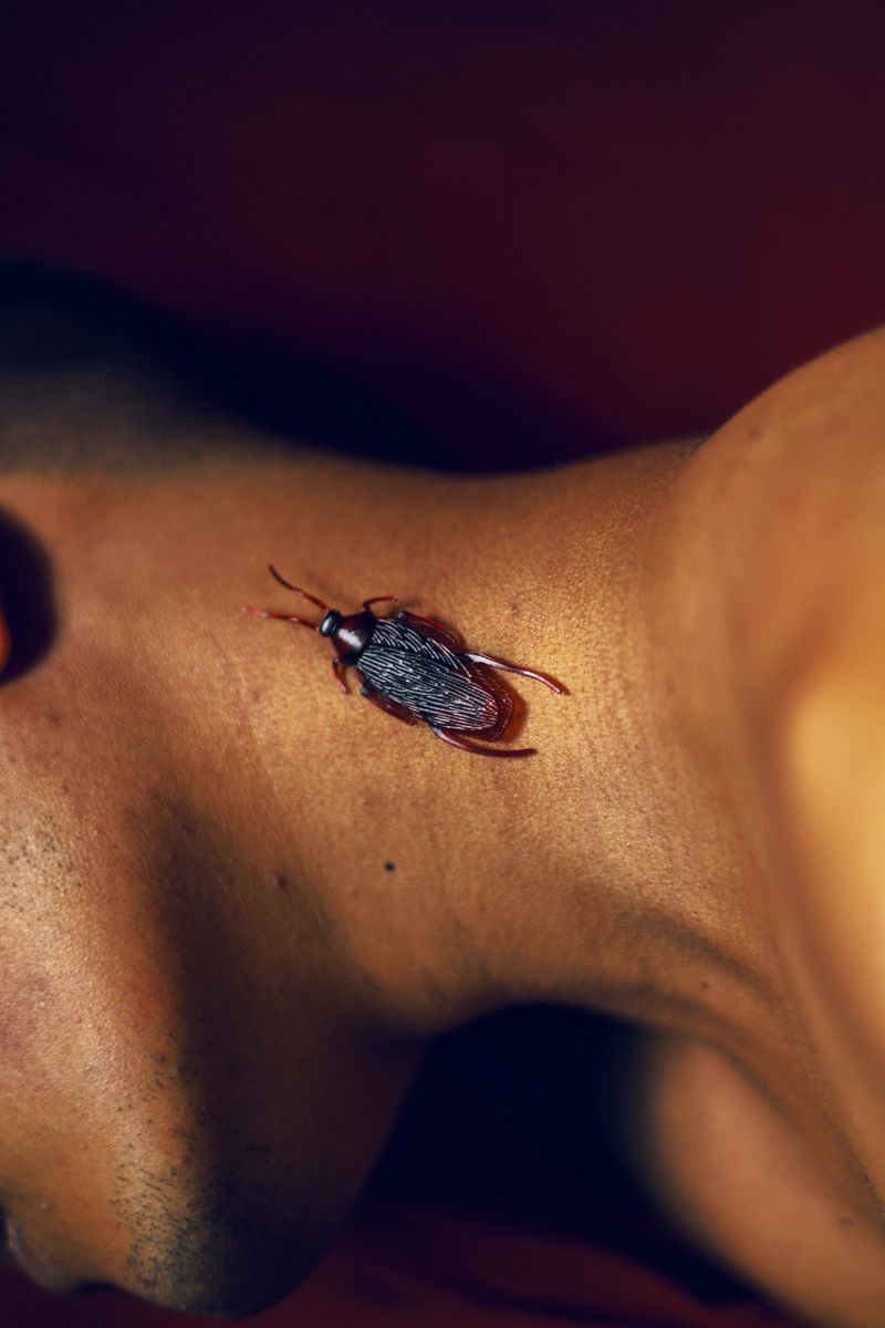 © María Fernanda Pérez - Image from the I Love You, Yet Not photography project