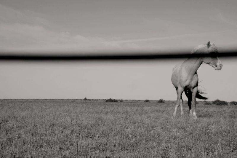 © Giulia Gatti - Image from the The wind blows on my mother photography project