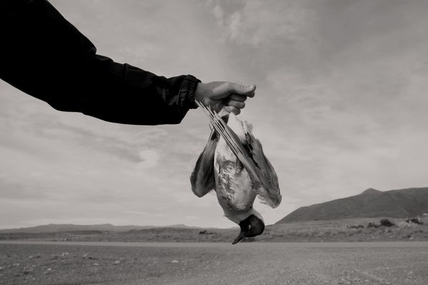 © Giulia Gatti - Image from the The wind blows on my mother photography project