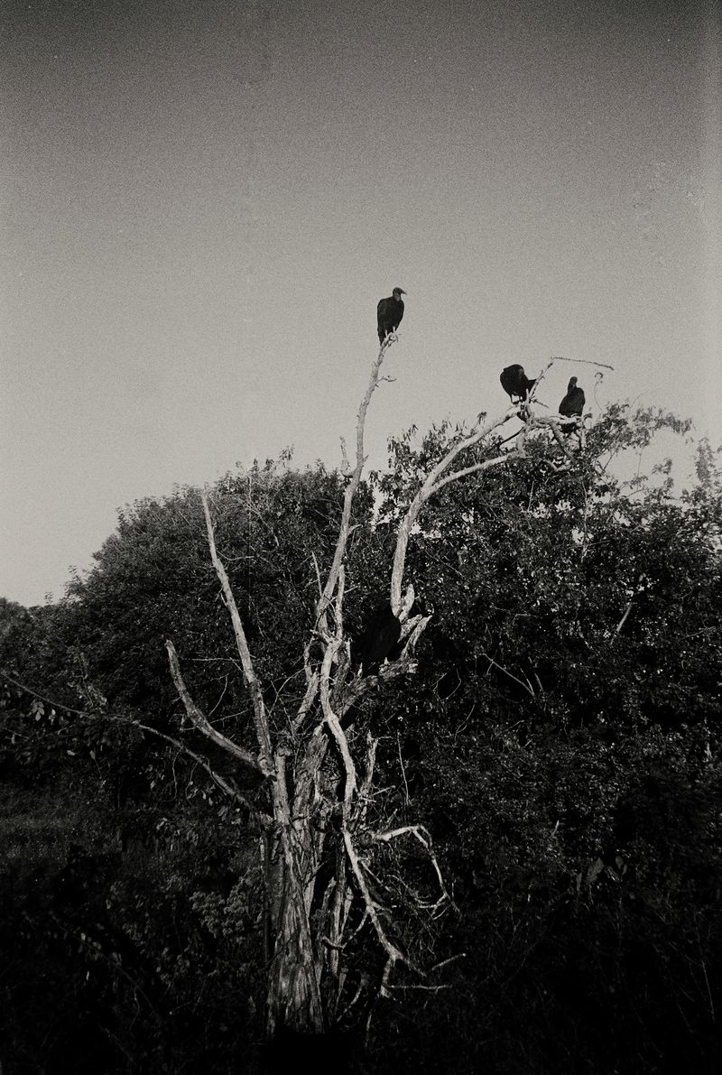 © Giulia Gatti - Image from the Corazonada photography project