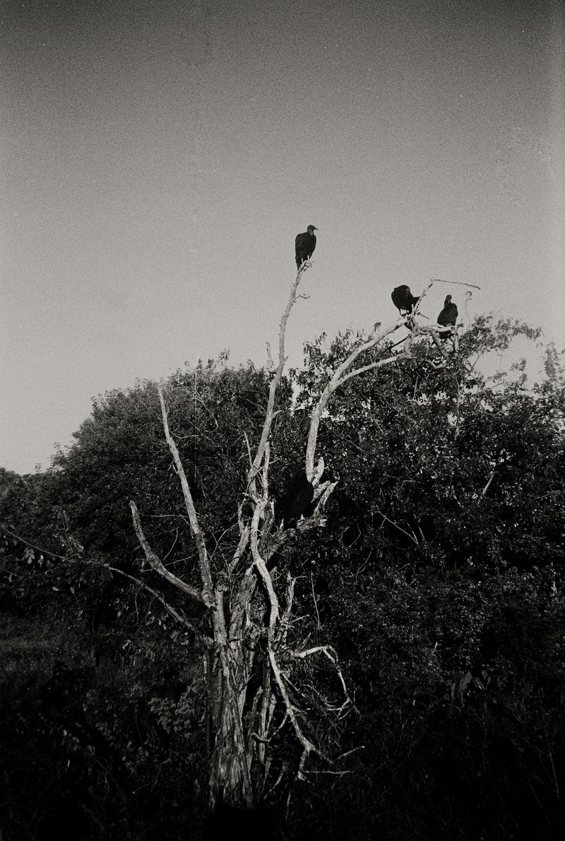 © Giulia Gatti - Image from the Corazonada photography project