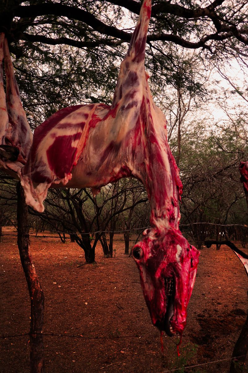 © Giulia Gatti - Image from the Corazonada photography project