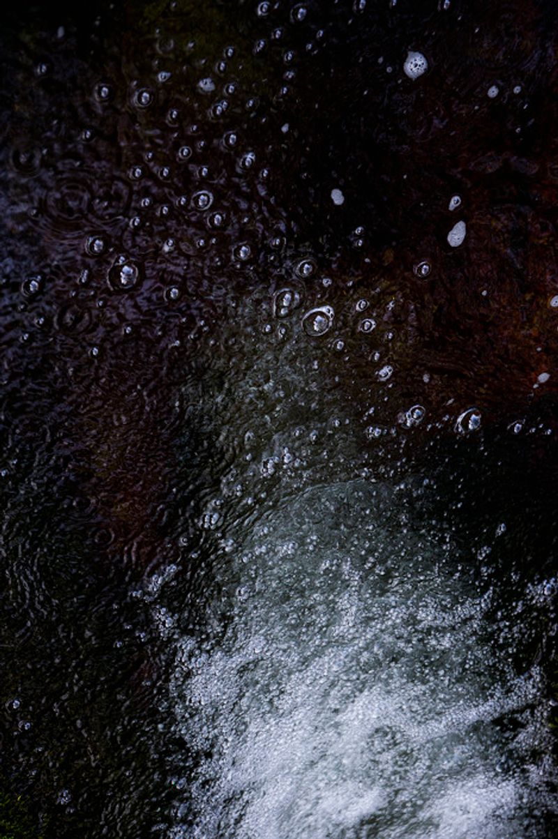 © Eli Garmendia - Image from the Sleeping Forest  photography project