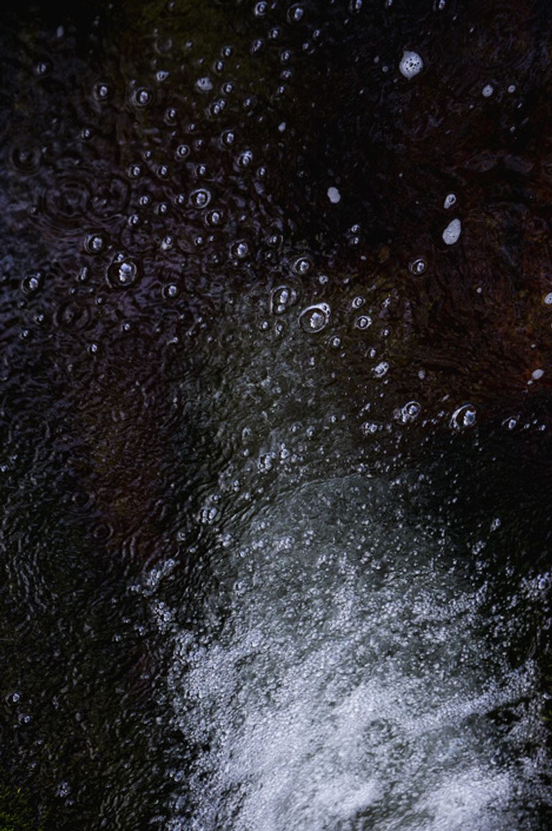 © Eli Garmendia - Image from the Sleeping Forest  photography project