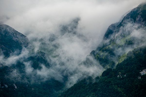 © Eli Garmendia - Image from the Sleeping Forest  photography project