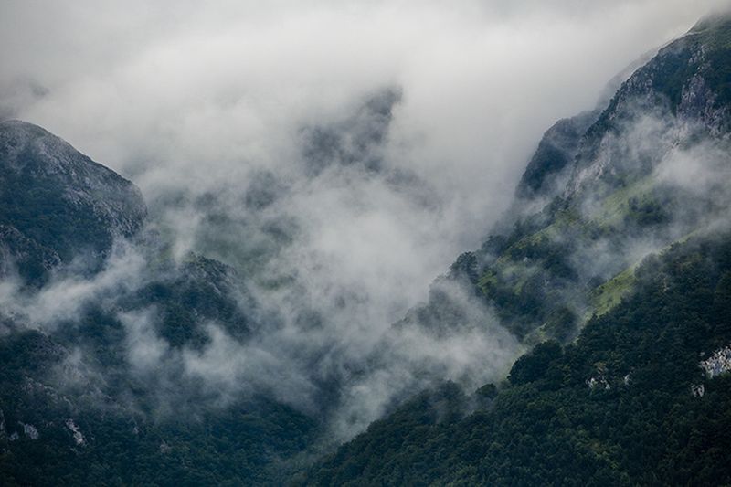 © Eli Garmendia - Image from the Sleeping Forest  photography project