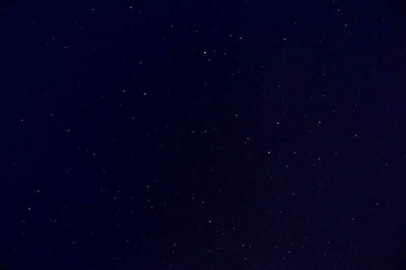 © Eli Garmendia - Image from the Sleeping Forest  photography project