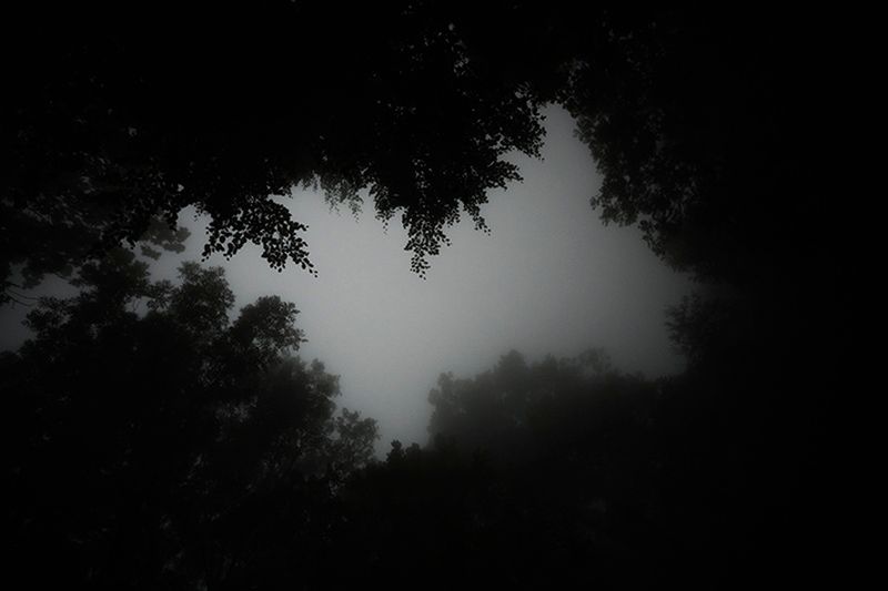 © Eli Garmendia - Image from the Sleeping Forest  photography project