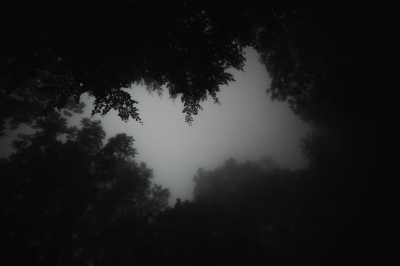 © Eli Garmendia - Image from the Sleeping Forest  photography project