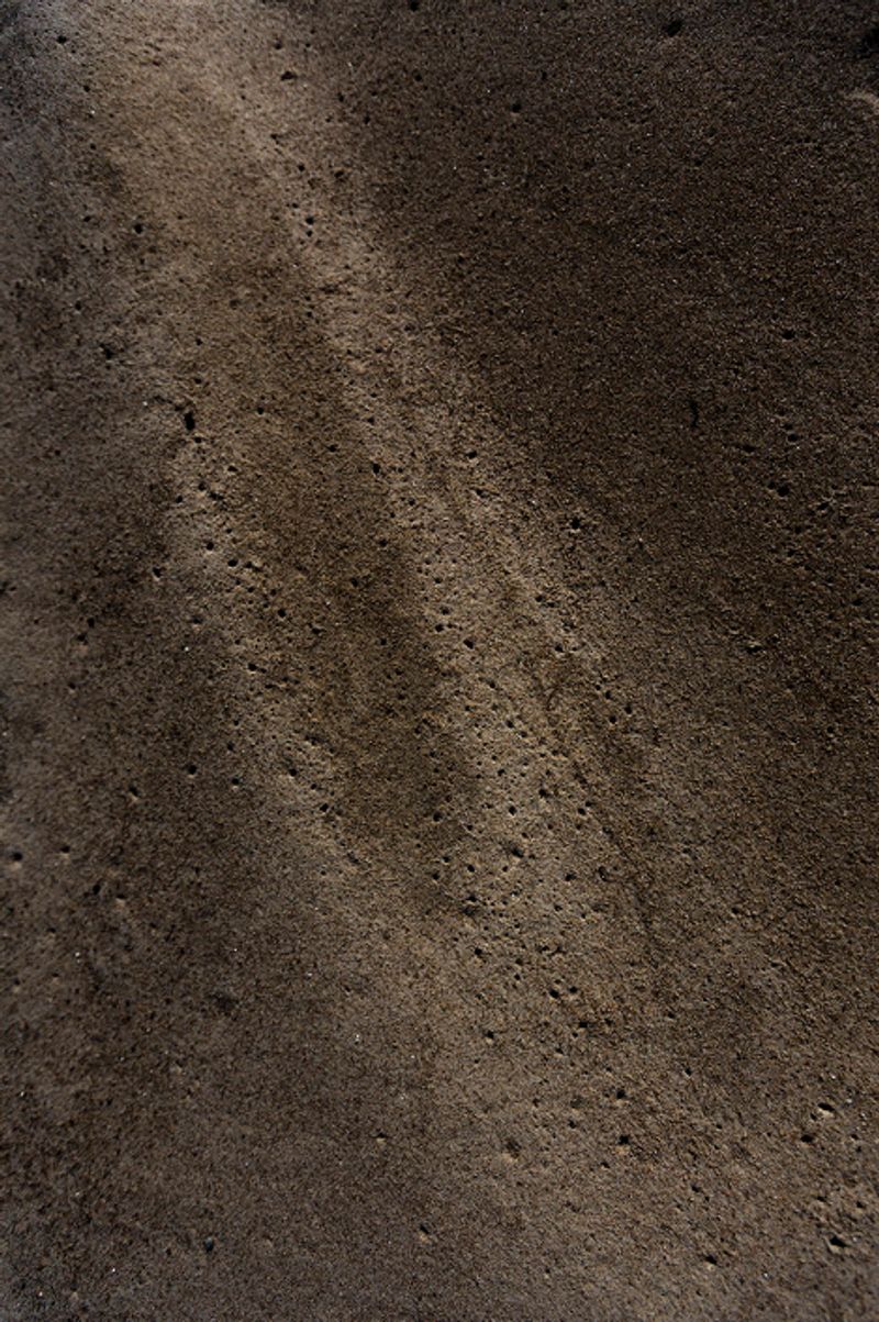 © Eli Garmendia - Image from the Sleeping Forest  photography project