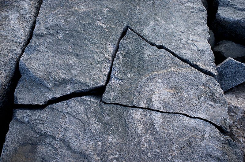 © Eli Garmendia - Image from the Sleeping Forest  photography project