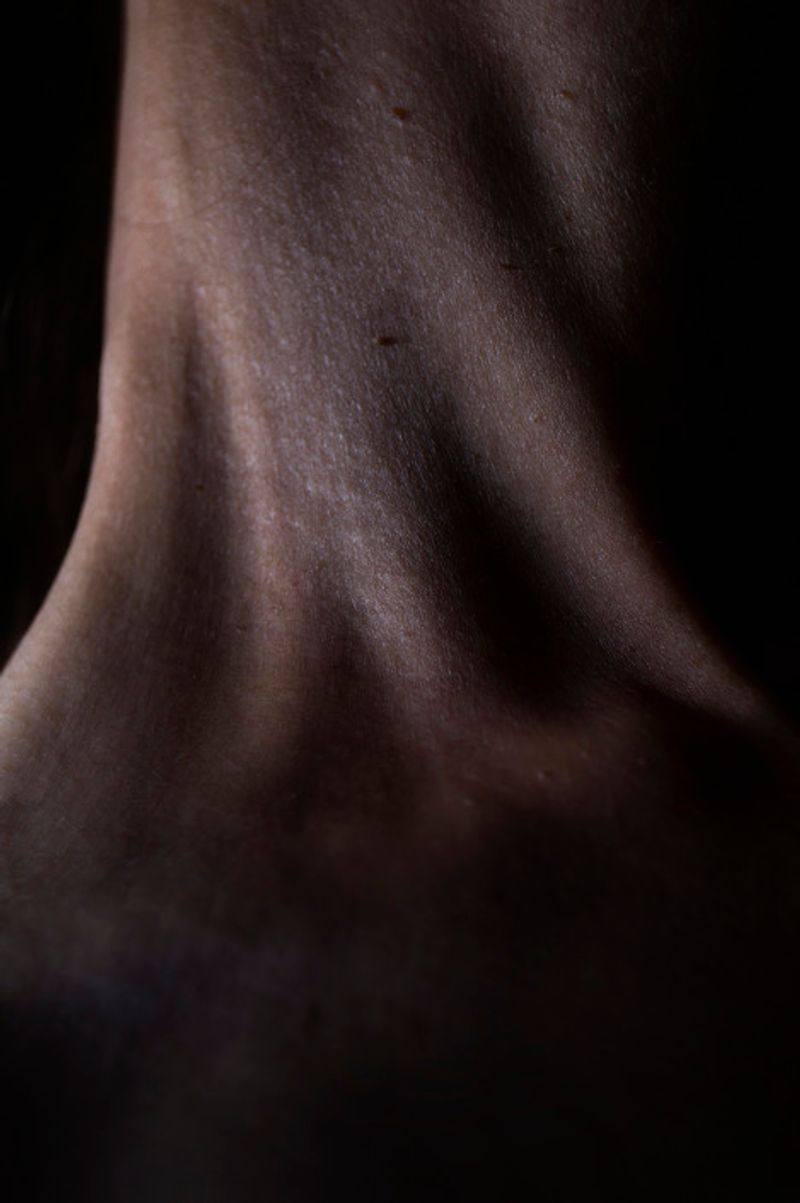 © Eli Garmendia - Image from the Sleeping Forest  photography project