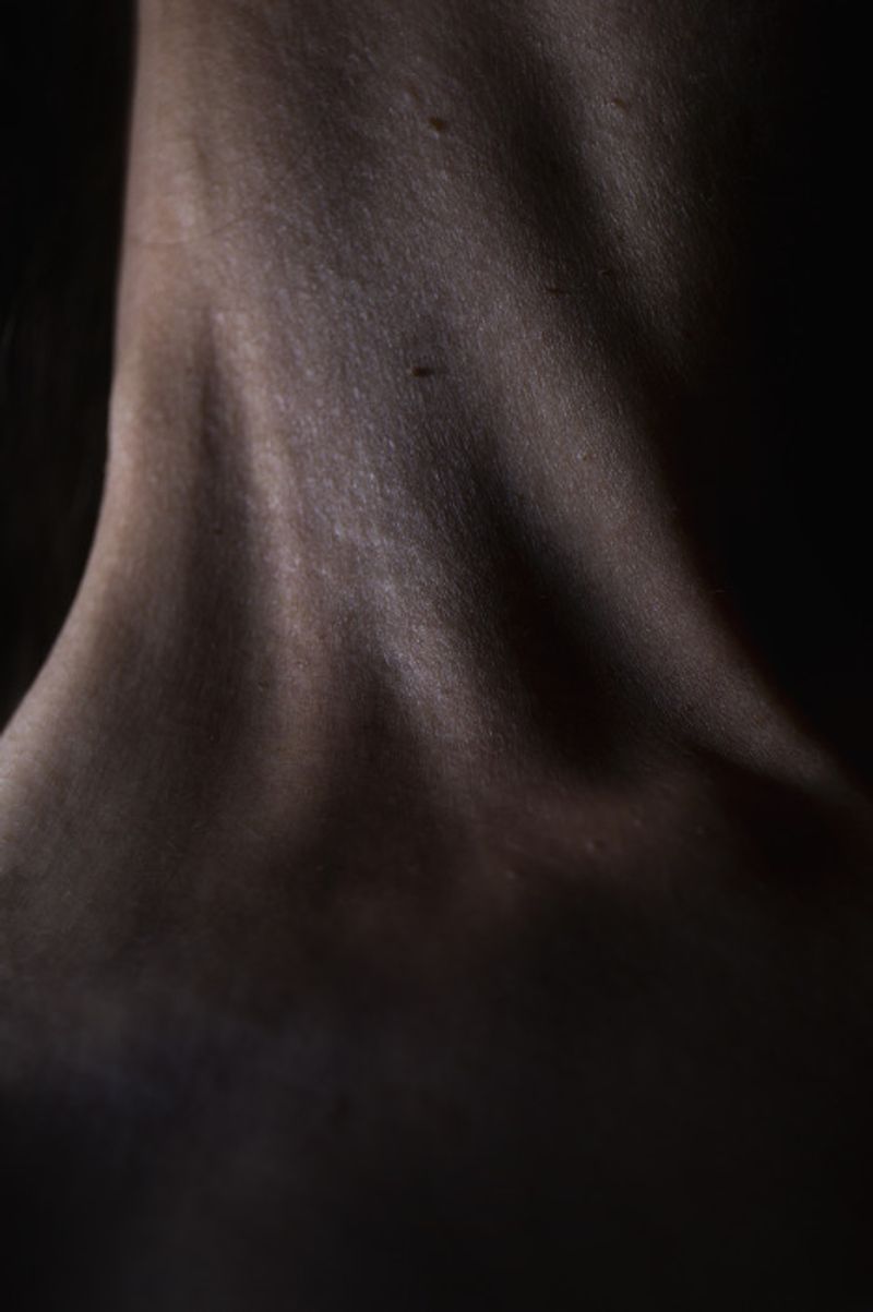 © Eli Garmendia - Image from the Sleeping Forest  photography project