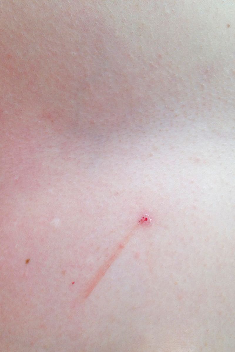 © Eli Garmendia - Image from the Sleeping Forest  photography project