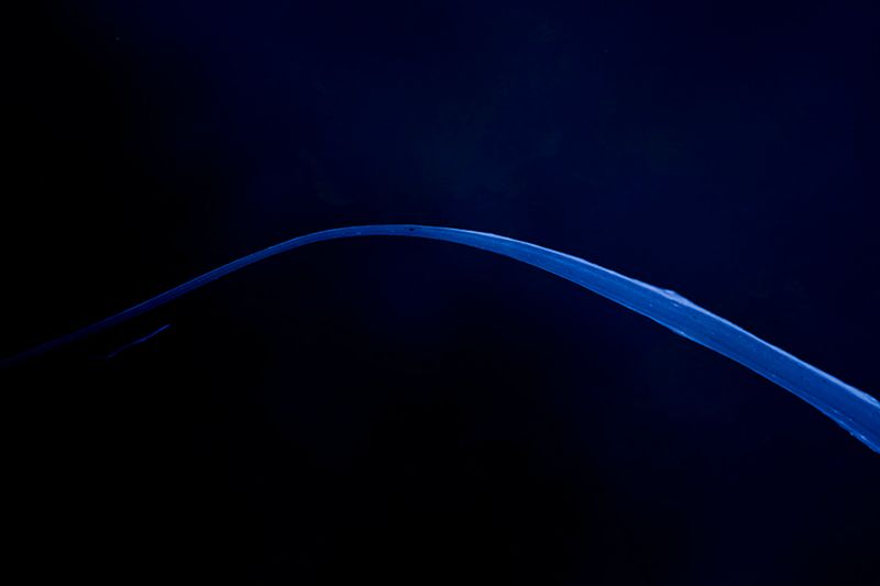 © Eli Garmendia - Image from the Sleeping Forest  photography project