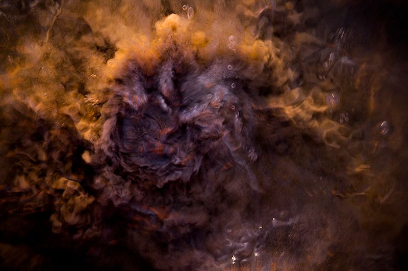 © Eli Garmendia - Image from the Sleeping Forest  photography project