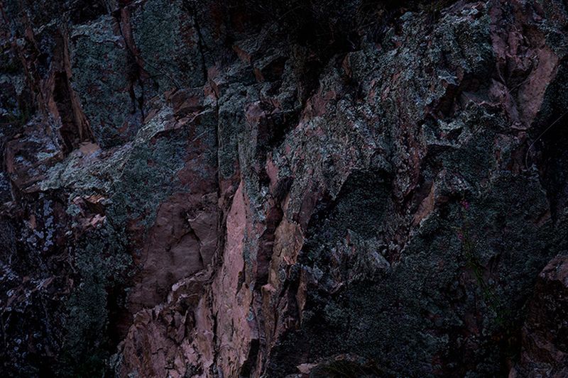 © Eli Garmendia - Image from the Sleeping Forest  photography project