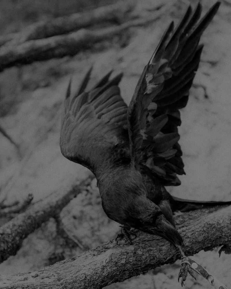 © Elliott Kreyenberg - Image from the Something Was Missing Within photography project