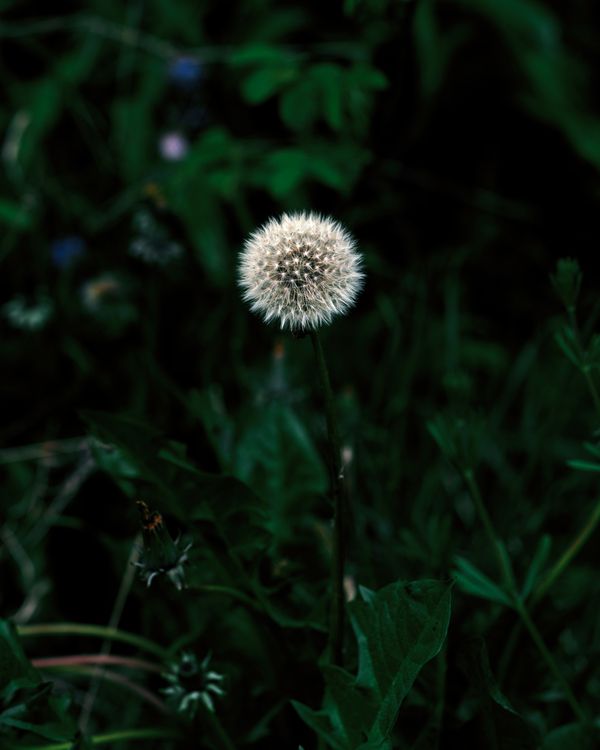 © Oliver Woods - Image from the Beginner's Luck photography project